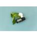 doTERRA Spearmint Essential Oil 15 mL - Premium Quality Essential Oil for Aromatherapy & Wellness | International Shipping Available - Buy Online on GoSupps.com