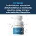 AdvancedBionutritionals AdvancedMemory Formula,Brain Booster Supplement for Memory and Focus,Acetylcholine,Alpha-GPC,NeuroFactor,Manufactured in The USA,60Tablets 60 Count (Pack of 1) - Buy Online on GoSupps.com