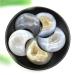 Natural Crystal Rough Natural Agate Geode Moon Shaped Crystal Cluster Half Moon Agate Geode Carved Crystal Stones Reiki Natural Stones and MineralsCrystal dingchi