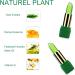 Natural Cosmetics Organic Aloe Vera Jelly Lipstick Magic Lip Gloss Natural Plant Lipstick Color According To Temperature - Buy Online on GoSupps.com