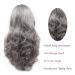 Karissa Hair Silver-Gray Lace Front Wig | Synthetic Long Waves | Glueless Free Parting | Natural-Looking Heat-Resistant Fiber for Women - Buy Online on GoSupps.com