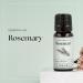 Nikura Rosemary Essential Oil 10ml - 100% Pure for Hair Growth | Aromatherapy Diffuser | Vegan Friendly - Buy Online on GoSupps.com