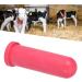 Buy Kuuleeyn Creep Pacifier Set - Milk Feed Bucket Pacifier & Valve Nipple for Cattle | International Shipping Available - Buy Online on GoSupps.com