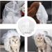 Dog Wedding Veil Pet Cat Wedding Veil Bridal Flower Headdress Dog Bride Costume Hair Bow Hair Accessories for Small Medium Large Dog (S) - Buy Online on GoSupps.com