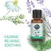 Garden of Life Organic Essential Oil - Calm Blend (Chamomile) 0.5 oz | Soothing Aromatherapy - Buy Online on GoSupps.com