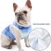 Yanmucy Dog Cooling Vest XL - Instant Soft & Breathable Pet Cooling Coat for Summer - Blue - Buy Online on GoSupps.com