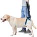 Mightyduty carrying help dog hind legs male female portable.