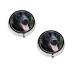 Rottweiler Wallpaper Printed Mini Round Pill Box Pill Box 3 Compartment Medicine Pill Case Pill Organizer Travel Pillbox Portable Pill Box for Pocket Home Office Use