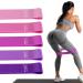 Resistance Loop Exercise Bands Exercise Bands for Home Fitness, Stretching, Strength Training, Physical Therapy, Crossfit, Pilates Yoga Flexbands, TPE Elastic Workout Bands for Women Men Kids , Set of 5 Assorted
