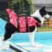 Buy EMUST Shark Dog Life Jacket - Pink Camouflage Vest for Medium Dogs | Safe & Stylish Floating Gear - Buy Online on GoSupps.com