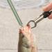 HASHOF 3PC Fishing Tool Kit: Stainless Steel Fish Lip Gripper, Aluminum Fishing Pliers, Hook Remover with Coiled Lanyard - Buy Online on GoSupps.com