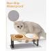 Zawaer Raised Cat Bowls 15 Tilted Cat Food Bowl Wooden Ceramic Cat Bowl Cat Feeding Station Anti Vomiting Cat Bowls With Stand High Cat Bowl Anti-Slip Pet Feeding Bowl For Cats And Puppies. 2er - Buy Online on GoSupps.com