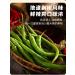 Sichuan specialty spicy Chili sauce and paste 230g/can green&red pepper chopped chili sauce delicious noodle sauce Chinese food instant spicy snacks (Double Pepper Sauce 1can) Double Pepper Sauce 1can - Buy Online on GoSupps.com