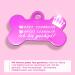 Ibera Gifts: Personalized Bone-Shaped Pendants for Dogs & Cats - Custom Engraved Collars & Bands (Pink Crown) - Buy Online on GoSupps.com