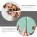 BELLIFFY 4pcs Pet Toothbrush Cat Care Toothbrush Manual Dog Toothbrush Toothpaste Plastic - Buy Online on GoSupps.com