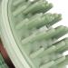 Hair Shampoo Brush Brush Teeth Scientific Arrangement Remove Dandruff Scalp Care Double End Scalp Comb Deep Cleaning with Lid for Bathroom - Buy Online on GoSupps.com