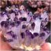 Hot Day Crystal Cluster Purple Crystal Processing from Home Collections - Buy Online on GoSupps.com