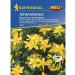St. John's wort hypericum perforatum