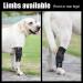 DONGKER Dog Leg Brace Adjustable Rear Leg Joint Compression Wrap with Metal Spring Bars for Dogs Sprain Pain Relief - Buy Online on GoSupps.com