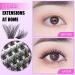 Rxuaw DIY Eyelash Extension Kit Lash Clusters 12 Rows Cluster Lashes with Glue and Tweezer for Lash Extension Beginners One - Buy Online on GoSupps.com