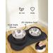 Canple Stainless Steel Dog Bowl with No-Spill Silicone Mat - 12 oz - Non-Skid, Strong Suction Cup - Waterproof Pet Feeder for Small, Medium, Large Dogs - Black - Buy Online on GoSupps.com