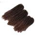 Eunice Hair 3 Packs/Lot T1B/30 Ombre Brown African -American braids Hair extension 8 inches 12 inches 12 inch Marlybob Crying (8 10 12 inches 1b 30) 8 10 12 inch 1b 30
