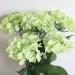 200 Pcs 16 Inch Dark Green Floral Stem Wire - Ideal for DIY Bouquet Making and Crafts - Buy Online on GoSupps.com