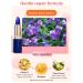 Blue Enchantress Color Changing Lipstick - Long-Lasting Moisturizing Matte Lipstick (2pcs Blue Tube) - Buy Online on GoSupps.com