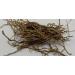 RAW HERBS/JADI BOOTI DRIED USHVA USHAVA USWA USHWA SMILAX MEDICA (100GM) - Buy Online on GoSupps.com