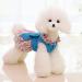 Shop Petyoung Floral Cat & Dog Clothes with Leash | Small Dog & Cat Princess Dress & Puppy Skirt in Blue M - Buy Online on GoSupps.com