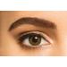 Buy FreshLook One Day Green Soft Lenses - 10 Pieces - BC 8.6mm DIA 13.8mm -3.0 Diopters - International Shipping Available - Buy Online on GoSupps.com