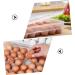 Generic Deviled Egg Holder Tray Refrigerator Household Storage Container Plastic Case Compartment Fridge Egg Holder Stackable - Buy Online on GoSupps.com