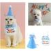 Fashion Pet Collar Dog Pet cat birthday hat Dog Birthday Accessories Dog cat pet spit pocket towel Floral Necklace with Hat Dog Birthday Suit Dog Birthday Scarf and Hat - Buy Online on GoSupps.com