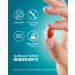 Kori Mind & Body Supplement | Memory & Attention Support | Nervous System & Healthy Energy | Clinically Tested Krill Oil Omega-3s, Lutein, Zeaxanthin, B12, Turmeric Curcumin | 60 Count - Buy Online on GoSupps.com