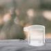 PATKAW Pet Water Feeder Ants Waterer for Garden Ants Feed Bowl Ants Drinking Container Ants Water Feeder Ants Waterer Cup Insect Water Bowl Clear Ants Feeder Mini Drinking Cup Acrylic - Buy Online on GoSupps.com