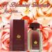 Avon Imari Eau de Toilette Spray 1.7 Fluid Ounce Vanilla 1.7 Fl Oz (Pack of 1) - Buy Online on GoSupps.com