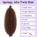 Cookoo 24 Pre-Separated Springy Afro Twist Hair 8 Packs - Honey Brown Synthetic Marley Crochet Braiding Hair for Black Women - Spring Twist Hair (10 Strands/Pack 30#) - Buy Online on GoSupps.com