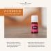 Buy Young Living Patchouli Essential Oil 5 ml | Uplift Mind & Spirit | Natural Aroma for Tranquility | International Shipping - Buy Online on GoSupps.com