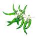 Ciieeo 2 Strings Simulated Green Pepper Fall Pumpkin Decor Fall Decorations Chili Decorations Corn Props Green 55X8.5X5CM