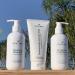 EVA + AVO Shampoo and Conditioner Set | Hydrating Avocado Oil & Wild Rosemary for All Hair Types | 8 Fl Oz Duo - International Shipping Available - Buy Online on GoSupps.com
