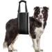 uikios Dog Lift Harnesses Regulable Dog Slings Hip Support Harnesses Dog Carry Slings for Canine Mobility Aid Small - Buy Online on GoSupps.com