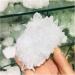 Natural White Ghost Quartz Crystal Cluster Crystals raw Gemstone Specimen for Home&Office Decoration fengshui ZJGIDTEM (Size : 300-400g) - Buy Online on GoSupps.com
