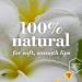 Burt's Bees Vanilla Bean Lip Balm (PACK OF 4) Fruit Vanilla 1 count (Pack of 4) - Buy Online on GoSupps.com