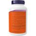 NOW Supplements MSM 1000mg Lignisul Capsules 240 Count - Buy Online on GoSupps.com