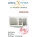 Lotustoday Herbal Tea 100% Natural Hibiscus Tea Bags (Pack of 5) Can make Iced Tea. Also Known as Rosella & Sorrel - Buy Online on GoSupps.com