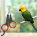 Bird Nail Trimmers Pet Bird Parrot Small Animals Accessory Grooming Tool Nail Scissors Clipper for Small Breeds Puppies Rabbits Cat - Buy Online on GoSupps.com