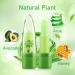 Firstfly 2 Pack Aloe Vera Color Changing Lipstick - Long Lasting Moisturizing Lip Care - Nutritious Plumper Lip Balm - Magic Temperature Color Change Lip Gloss - 2PCS - Buy Online on GoSupps.com