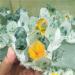 Crystal Rough Home Decoration Quartz Cluster Natural Green Ghost Crystal Cluster Inlaid with Yellow Specimen Stones (Size : 900-1000g) - Buy Online on GoSupps.com