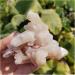 Natural Crystal Rough 70g-95g Natural Zeolite Crystal Raw Crystal Specimen Decoration - Buy Online on GoSupps.com
