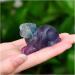 Natural Crystal Rough 1pc Natural Rainbow Fluorite Hand Carved Dog Quartz Crystal Stone Figurine for Decoration PEIQIYIN - Buy Online on GoSupps.com